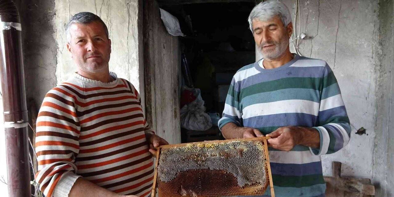 Şifa deposu püren balının kilosu 125 lira