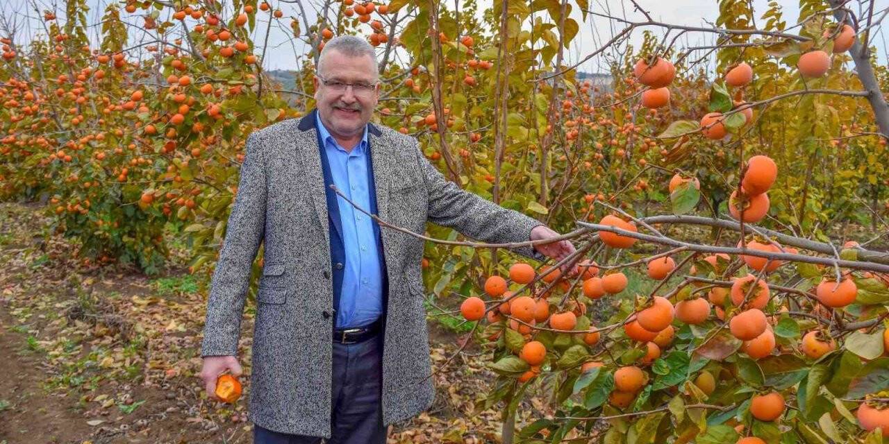Karacabey’e alternatif tarım modeli