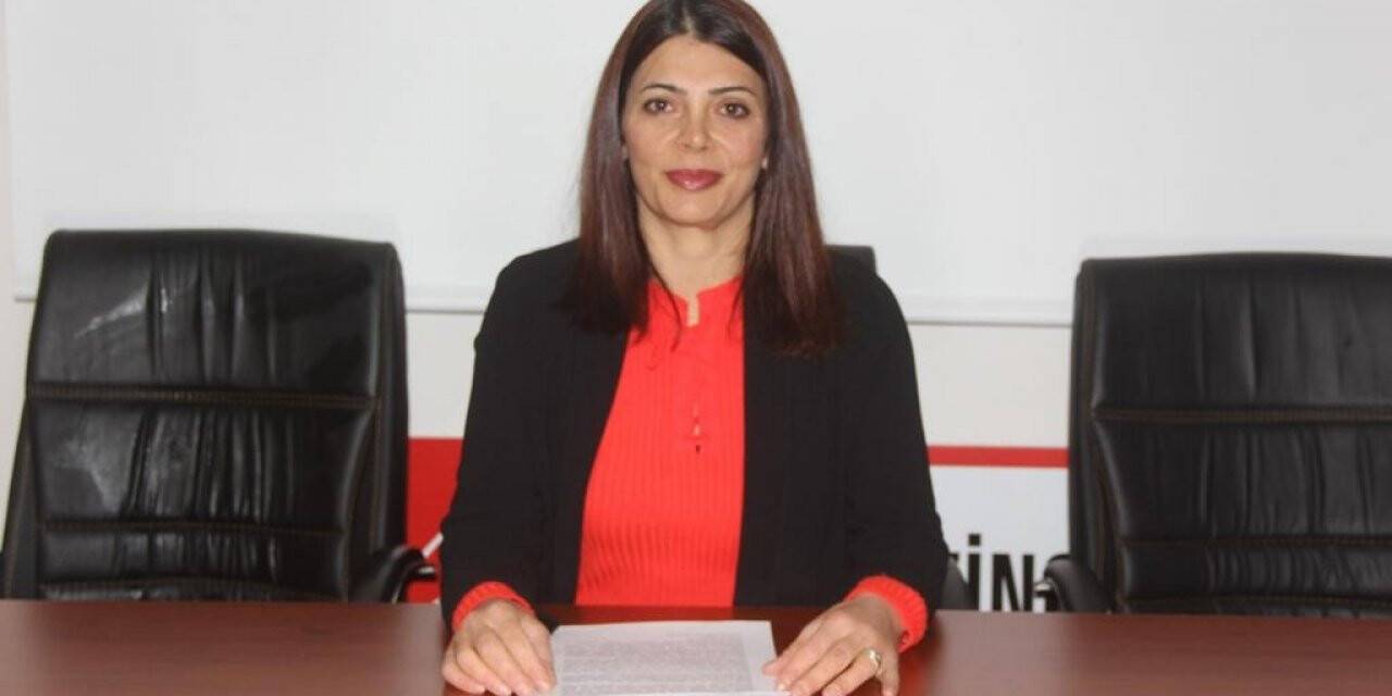 CHP Erzincan Kadın Kollarından Kadına Yönelik Şiddete Karşı Uluslararası Mücadele ve Dayanışma Günü açıklaması