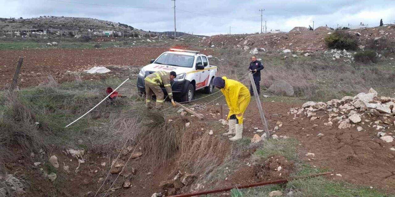 Kuyuya düşen koyunu itfaiye kurtardı