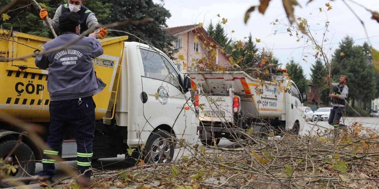 Serdivan Belediyesi’nden sonbahar mesaisi