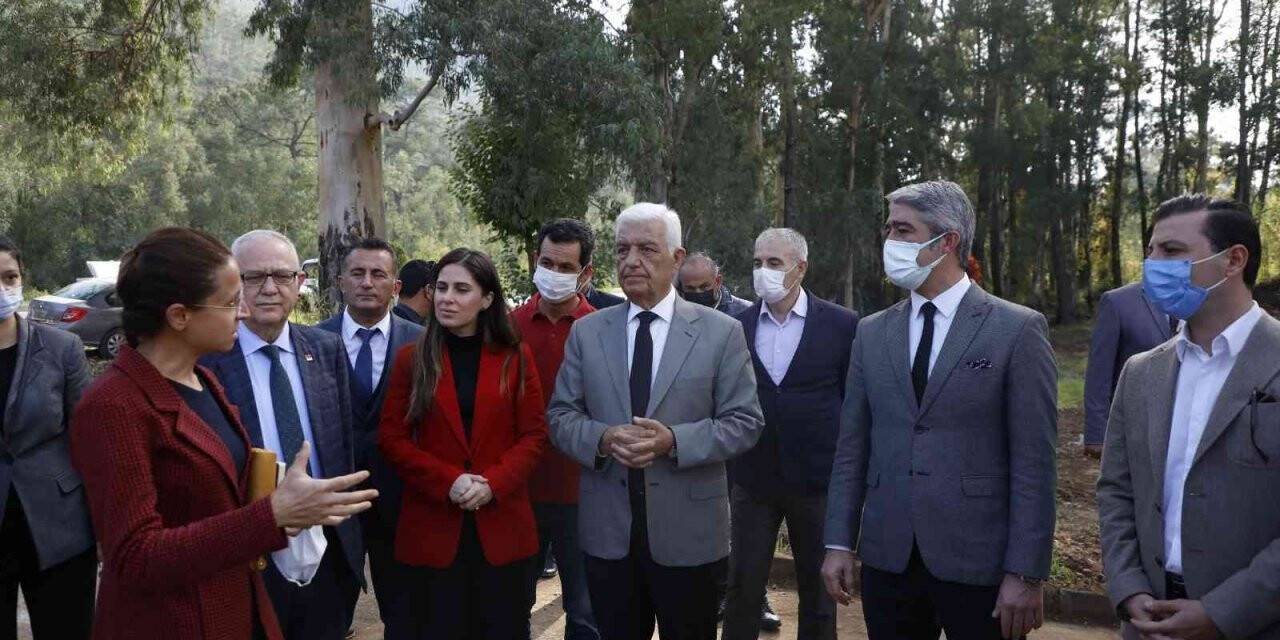 Marmaris’e Tıbbı Aromatik bitkiler koleksiyonu bahçesi