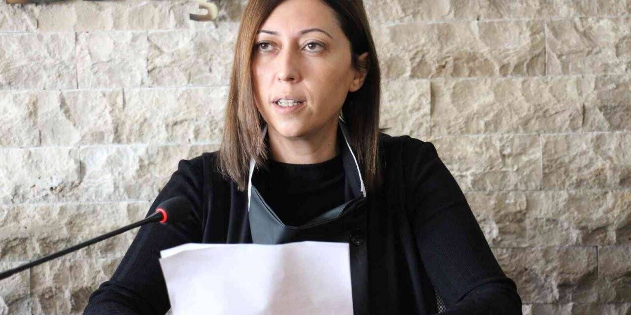 AK Parti Aydın İl Kadın Kolları Başkanı Göğde: "Kadına yönelik şiddet bir dünya sorunudur"