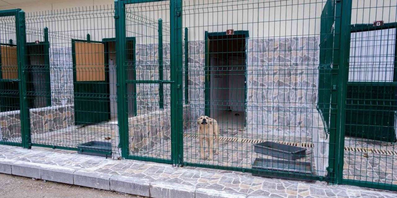 Kastamonu Belediyesi Geçici Hayvan Bakımevi yenileniyor