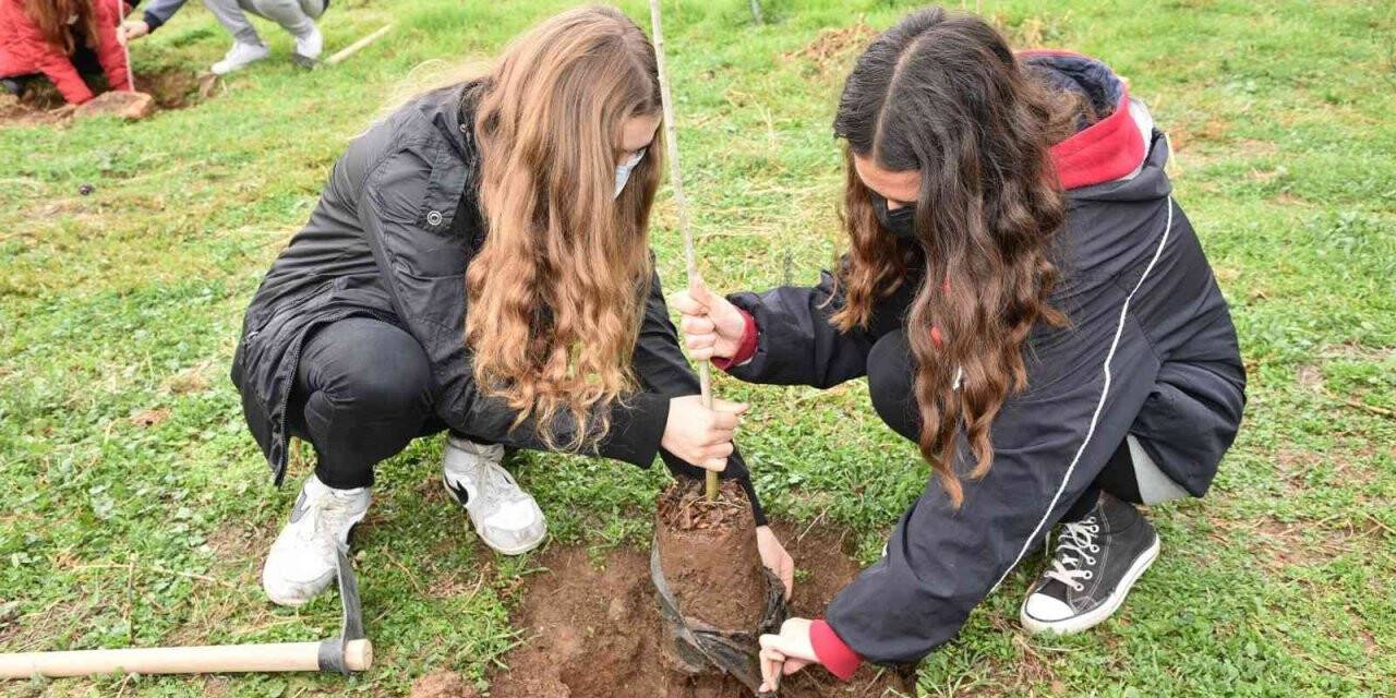 Öğretmenler anısına hatıra ormanı oluşturuldu