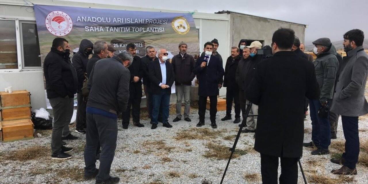 Kırşehir’de "Anadolu Arı Islahı Projesi" tanıtım toplantısı yapıldı