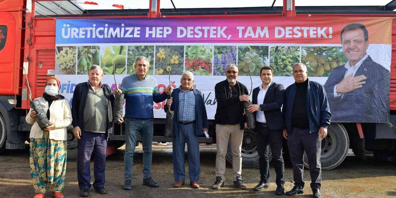 Büyükşehir Belediyesinin ceviz fidanı dağıtımı sürüyor