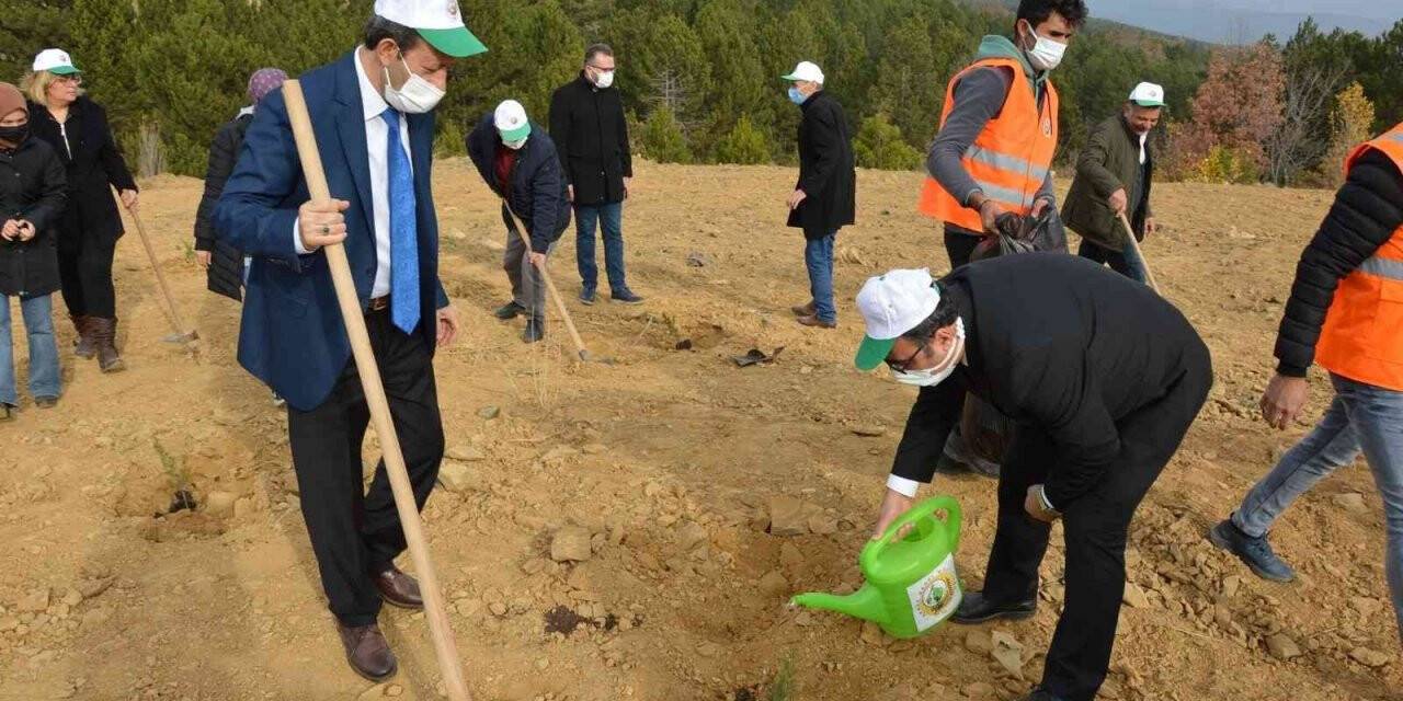 Simav’da ’Her öğretmene bir fidan’ kampanyası