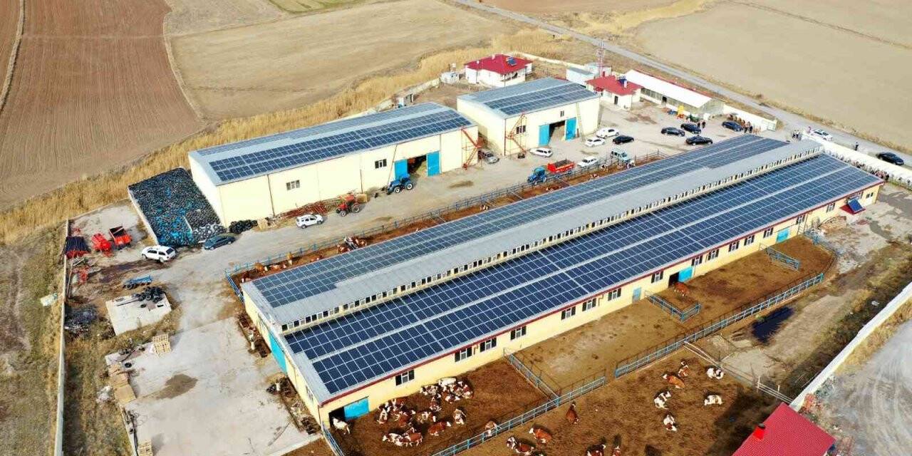 Bu çiftlikte bir yandan süt bir yandan enerji üretiliyor