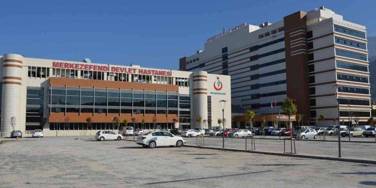 Dağ mantarı zehirledi