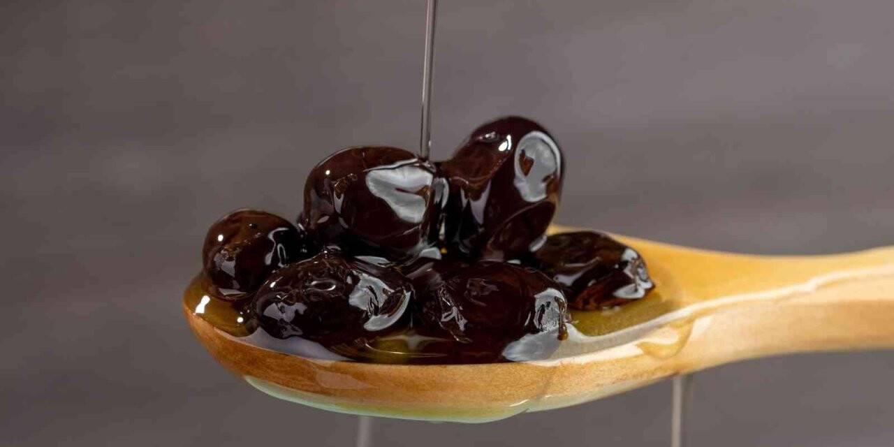 Siyah inci ‘zeytin’ dalından sofralara ulaştırılıyor