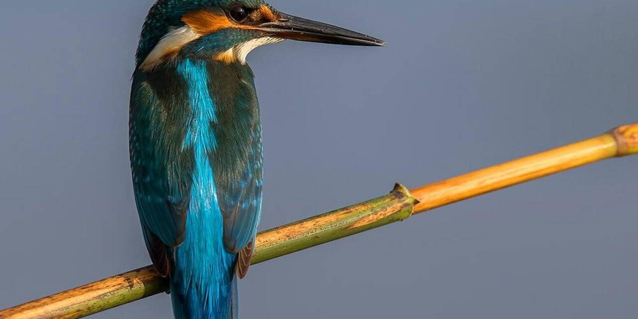 Kocaeli’nin en iyi kareleri belli oldu