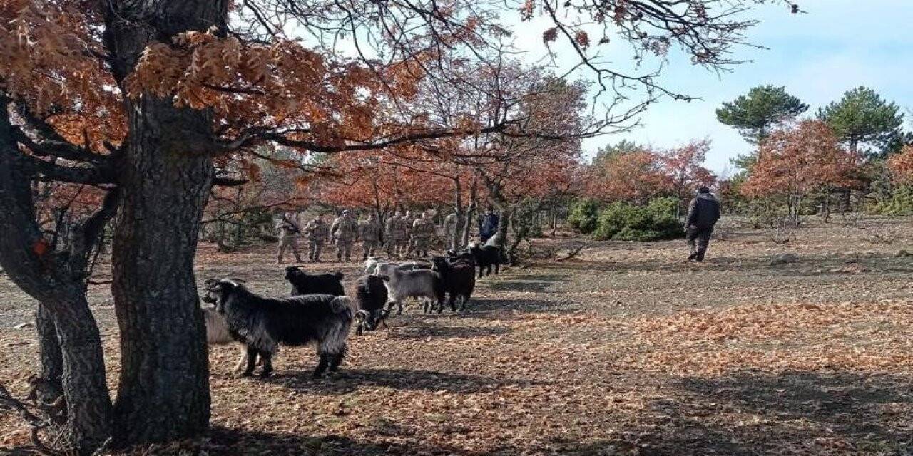 Jandarma ekipleri kaybolan 20 küçükbaş hayvanı drone desteğiyle buldu