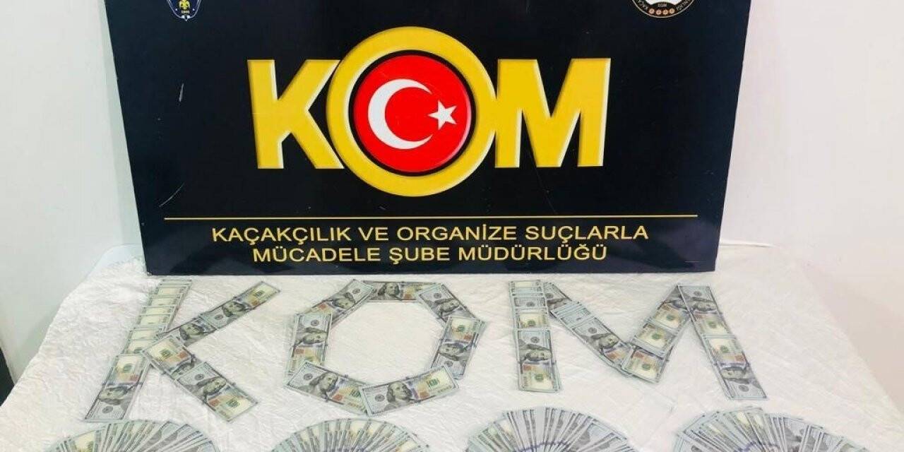 Piyasaya sahte dolar  sürme isteyen 2 kişi tutuklandı