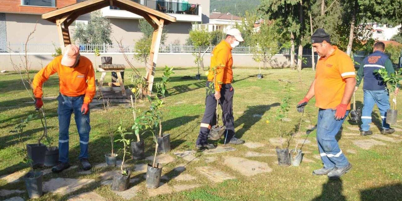 Marmaris’te örnek proje