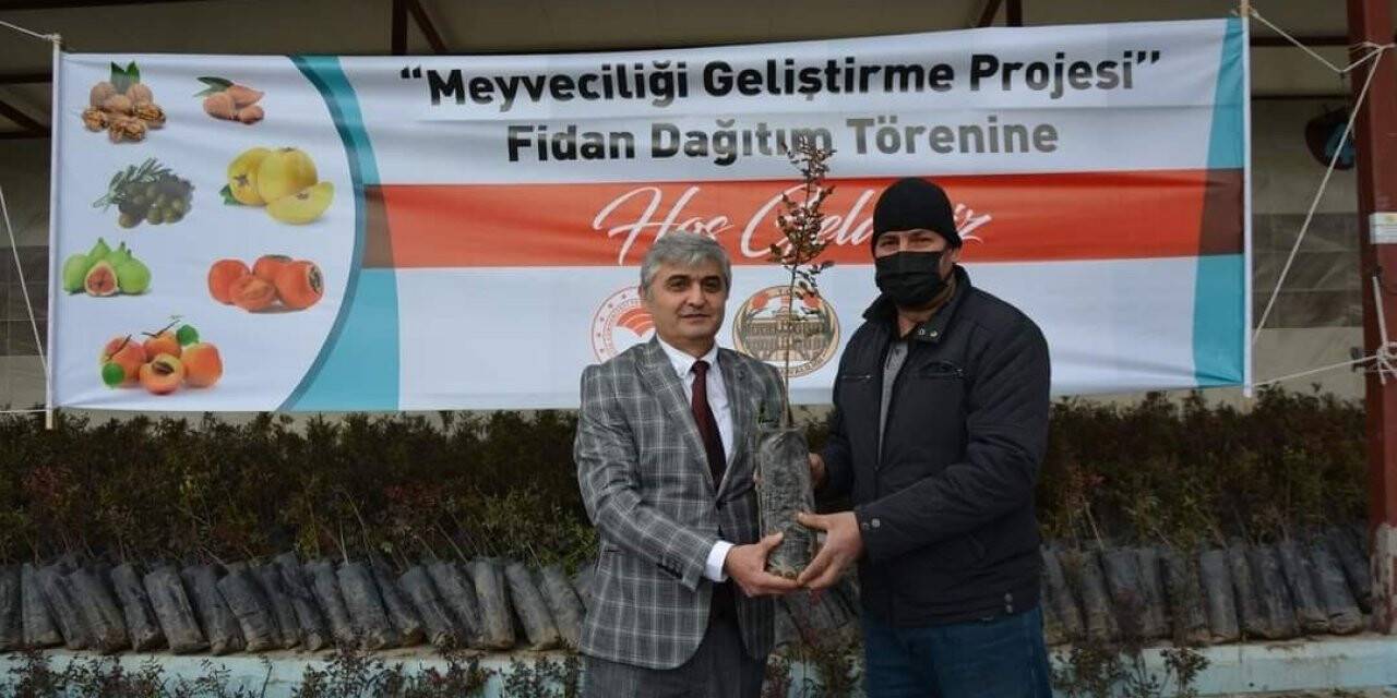 Selendi’de Antep Fıstığı üretimi artırılacak
