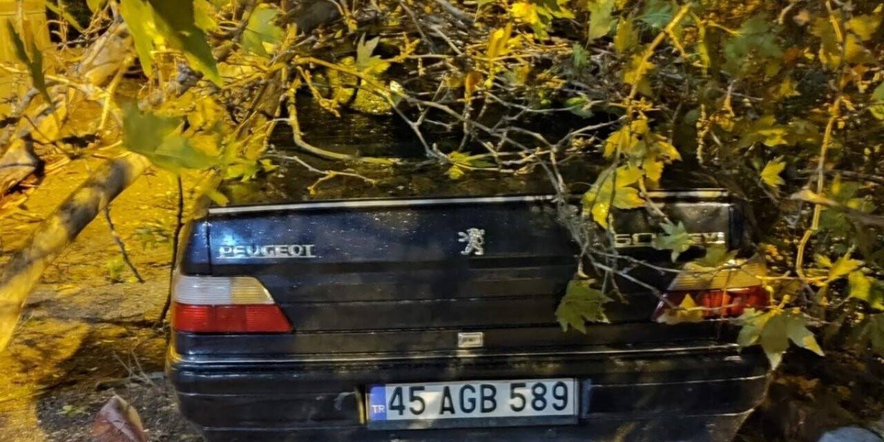 Fırtınada devrilen ağaçlar anında kaldırıldı