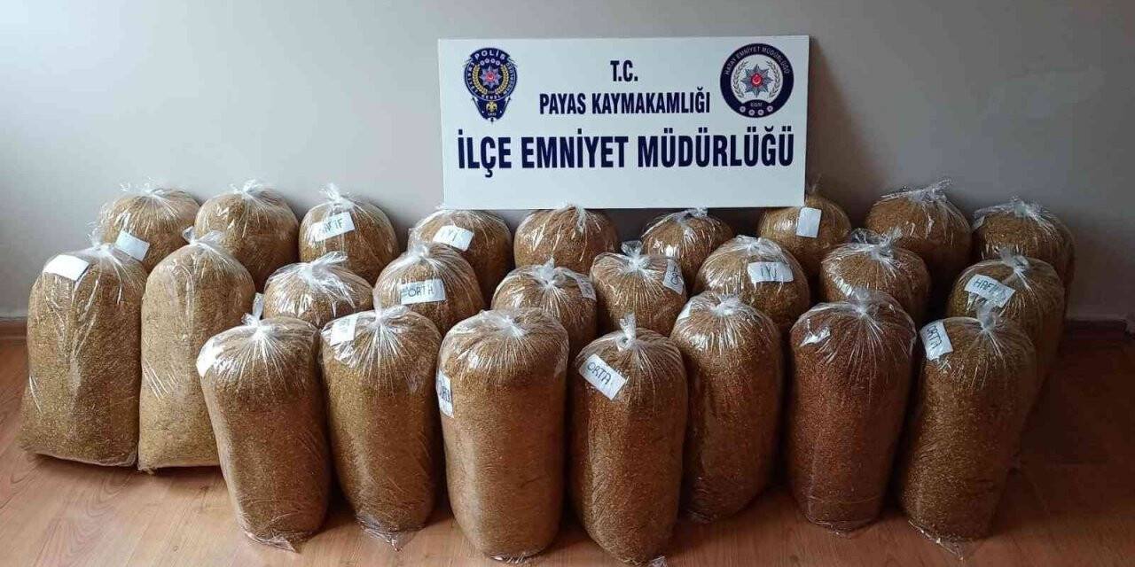 Hatay’da kaçakçılık operasyonu