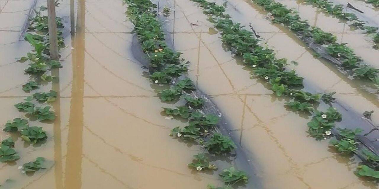 Antalya’da etkili yağmur
