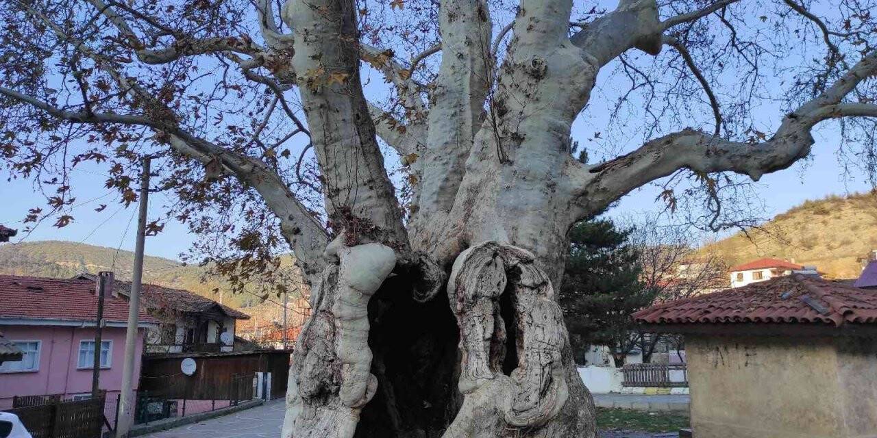 Osmanlı’dan günümüze 700 yıllık tarih