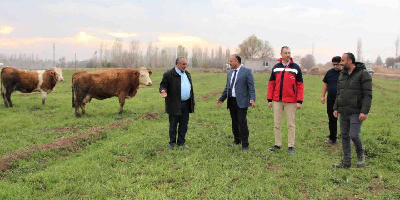 Süt otu ekim alanında inceleme