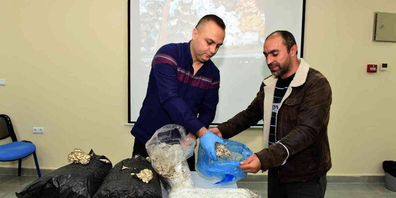 Yıldırım’dan girişimci adaylarına mantarcılık kursu