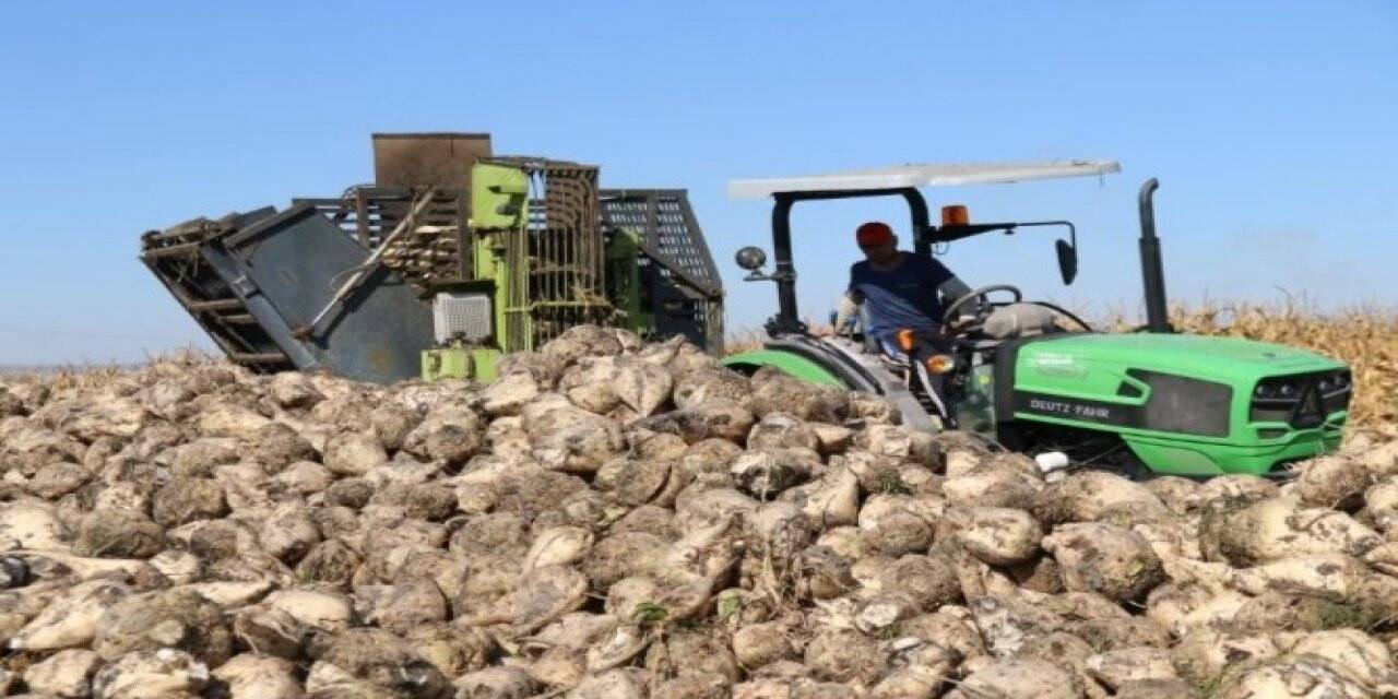 Ziraat Odası Başkanı’nda ‘şeker yok’ iddiasına tepki