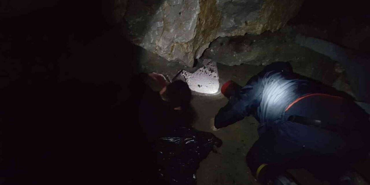 Balıkesir’de mahsur kalan kedi ve köpekler itfaiye tarafından kurtarıldı