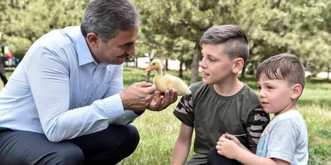 Mamak Belediye Başkanı Köse en başarılı ilçe belediye başkanları arasında