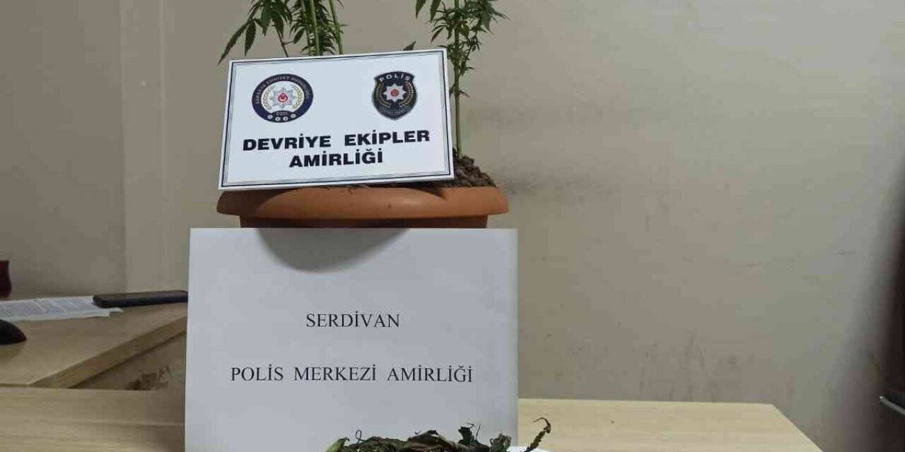 Sakarya’da uyuşturucu operasyonu: 5 gözaltı
