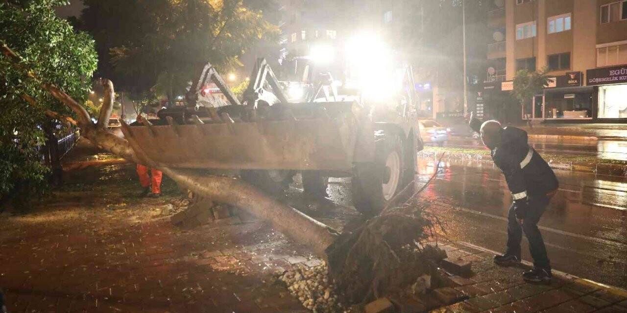 Büyükşehir’den fırtınada zarar gören bölgelere müdahale