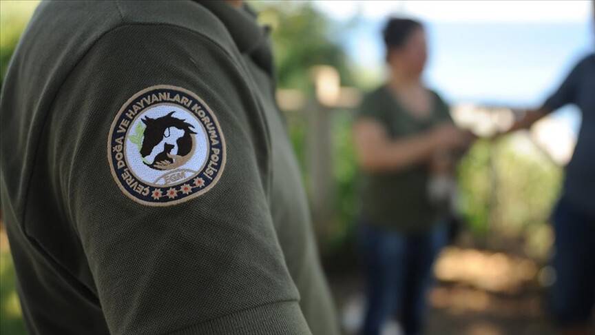 Polis ve jandarmadan doğaya ve hayvanlara zarar veren 1300 kişiye cezai işlem