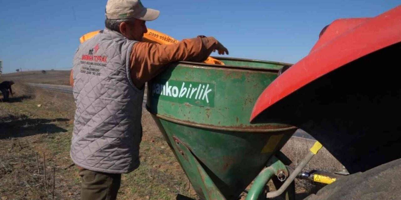 Balıkesir’de süt otu tohumu toprakla buluştu