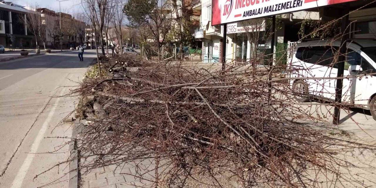 Bursa’da şiddetli lodos hayatı felç etmeye devam ediyor