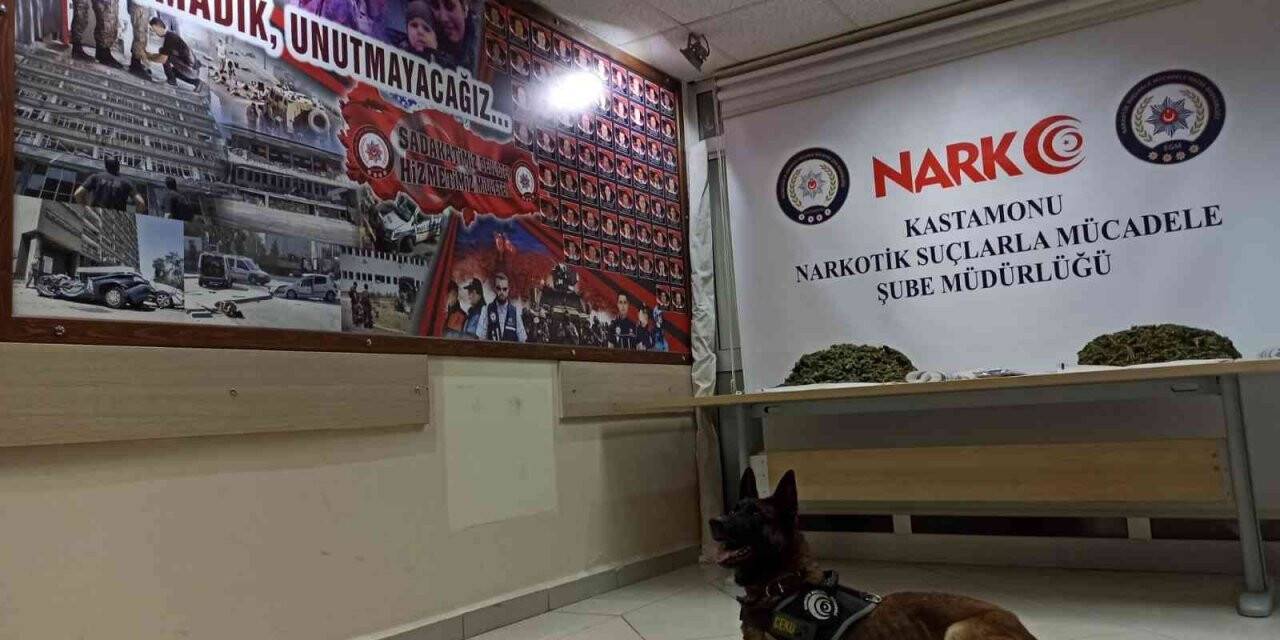 Narkotik köpeği “Ceku” buldu, 4 kilogram esrar ele geçirildi