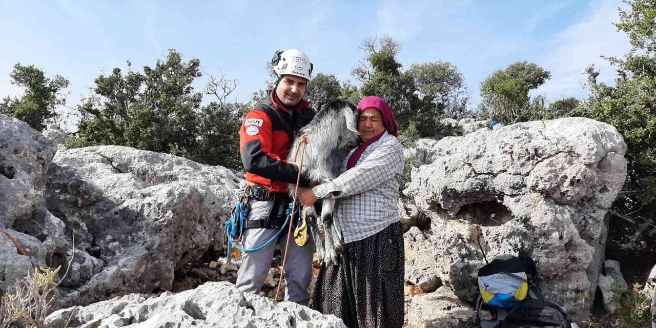 Mersin’de 100 metre aşağıda keçi kurtarma operasyonu