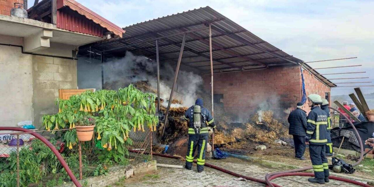 Kocaeli’de korkutan yangın