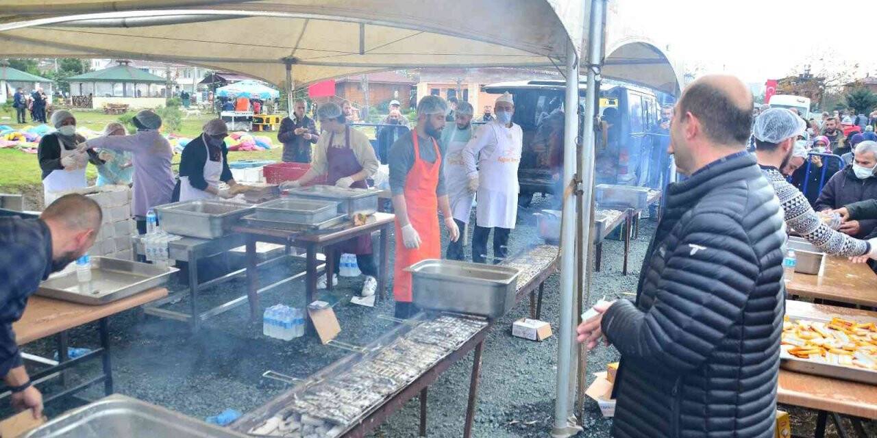 Terme’de hamsi festivali: 1,5 ton hamsi tüketildi