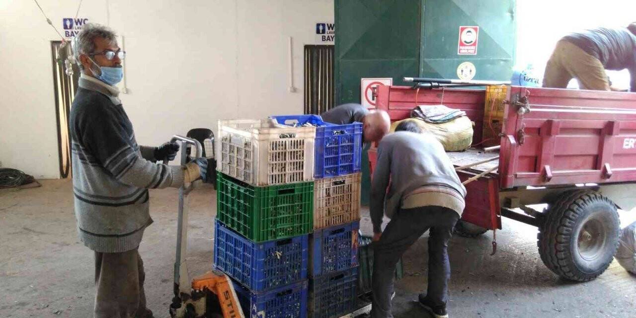 Erdek Zeytin kooperatifinden elek desteği