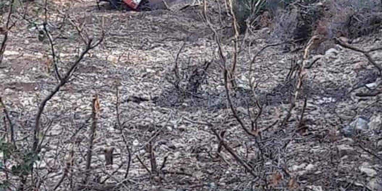 Devrilen traktörün altında kalan sürücü hayatını kaybetti