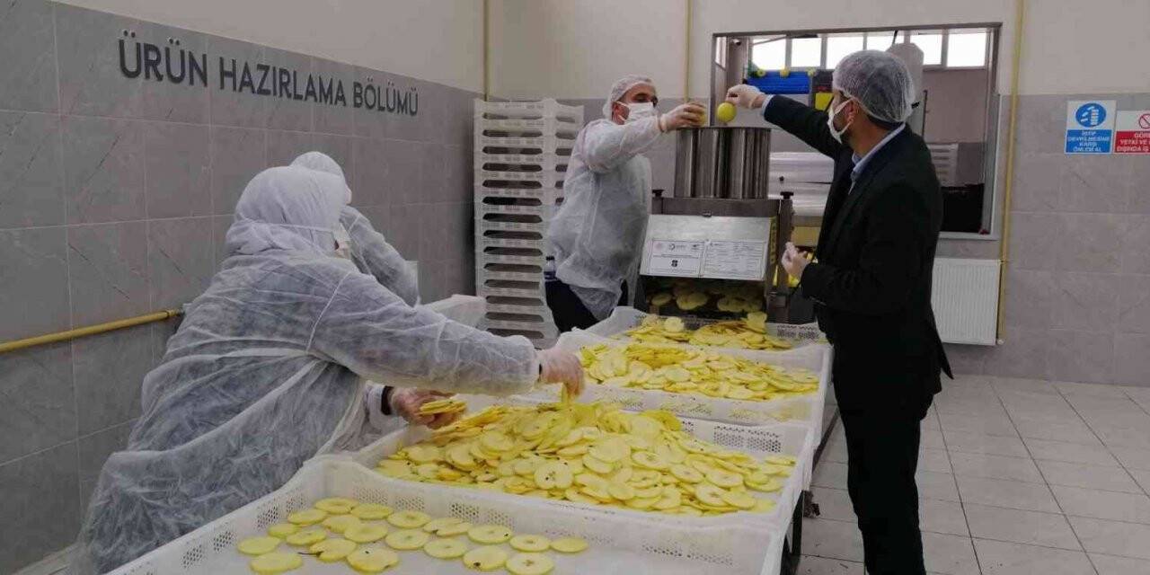 Sındırgı’dan dünyaya jeotermalle sağlıklı gıda