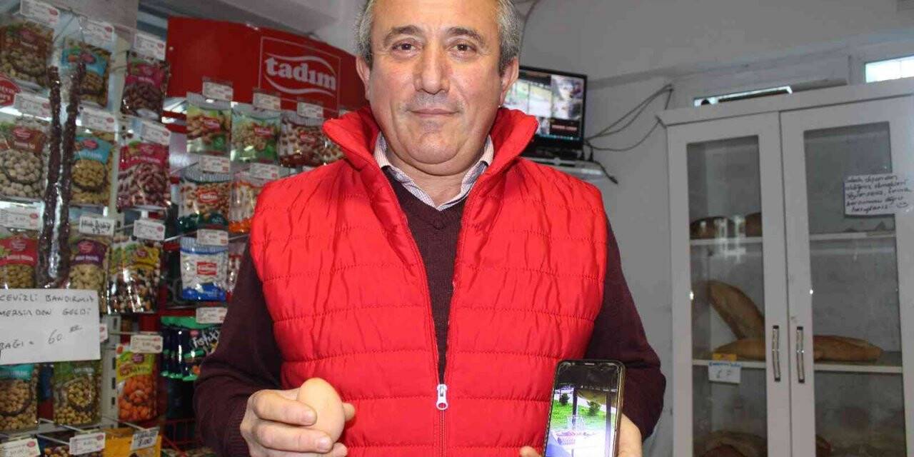 Hırsız karga: Marketten yumurta ve patates cipsi çalıyor