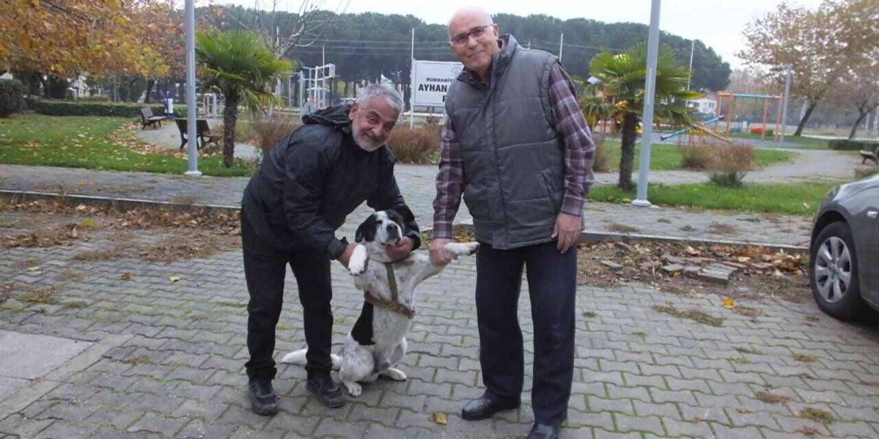 Balıkesir’de İstiklal Marşı okunurken eşlik eden köpek ilgi odağı oldu