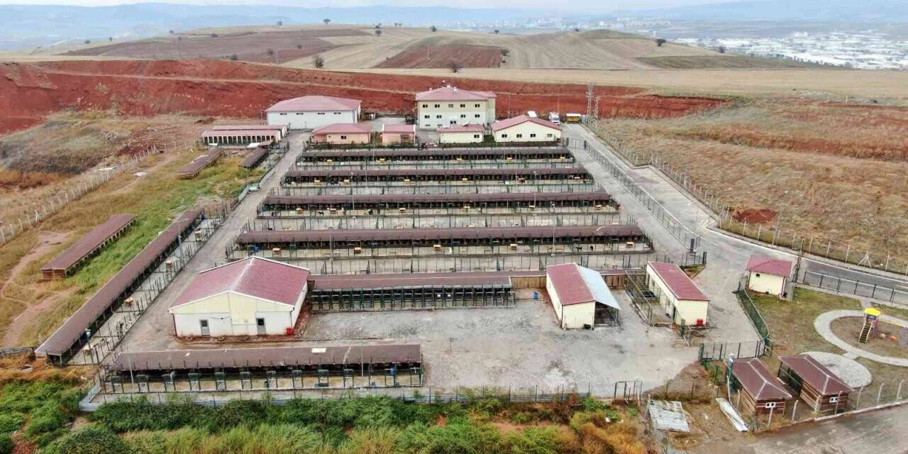Bu barınak 5 yıldızlı otelleri aratmıyor