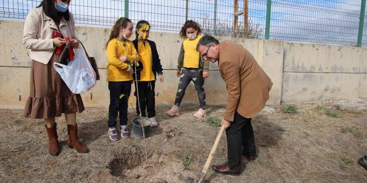 Hacılar’da hedef 1 milyon fidan