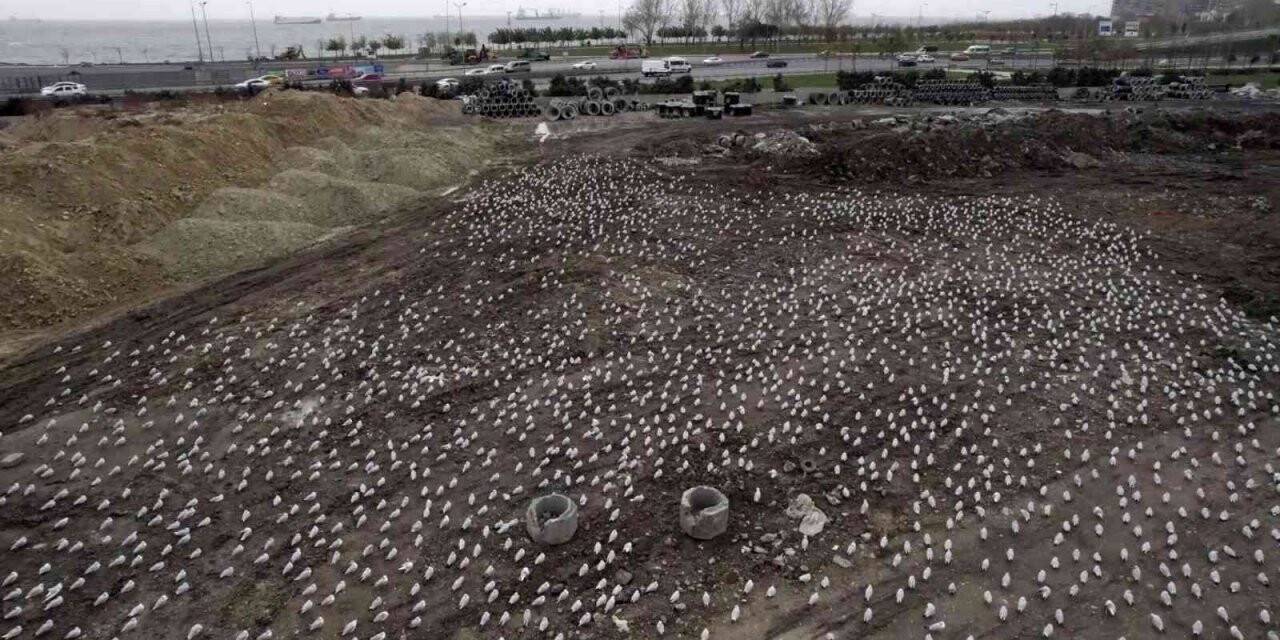 Lodos martıları da vurdu