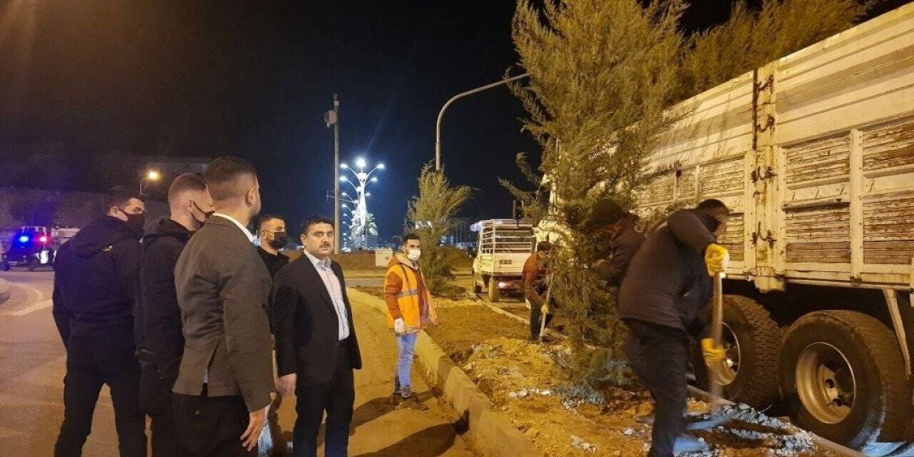 Cizre belediyesi peyzaj ve ağaçlandırma çalışmalarını sürdürüyor