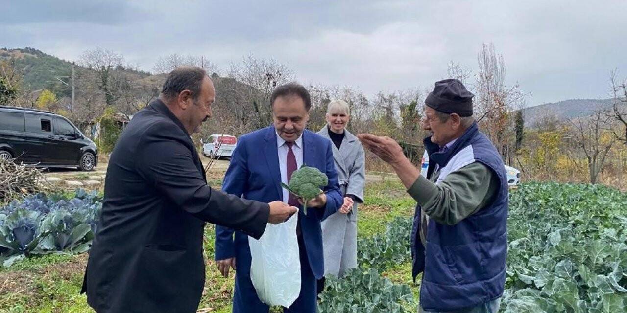 Bilecik’te 2 ay önce dikilen sebze fidelerinden ilk hasat yapıldı
