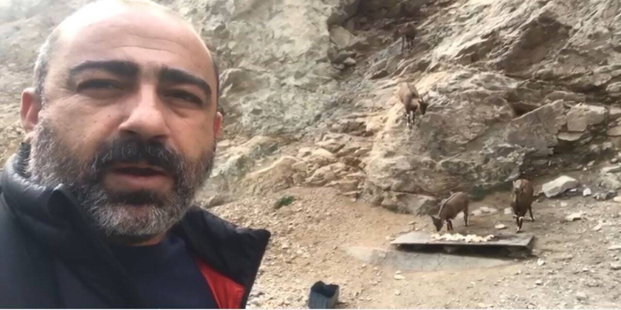 Yaban keçileriyle selfie pozu