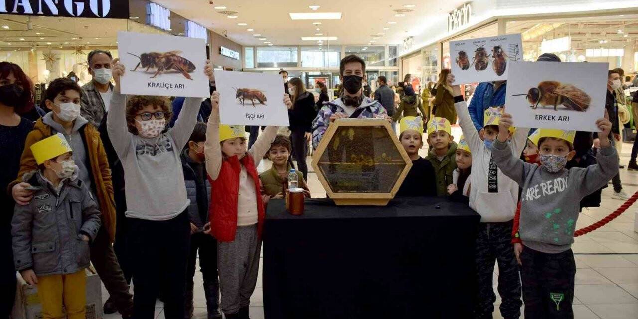Arvaryum’da çocuklar arıları tanıdı